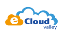 ECV TECHNOLOGY COMPANY LIMITED